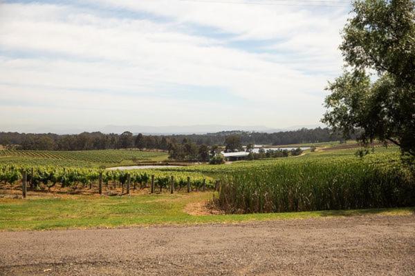 منزل الضيف بوكولبن  في Audrey Wilkinson Vineyard المظهر الخارجي الصورة