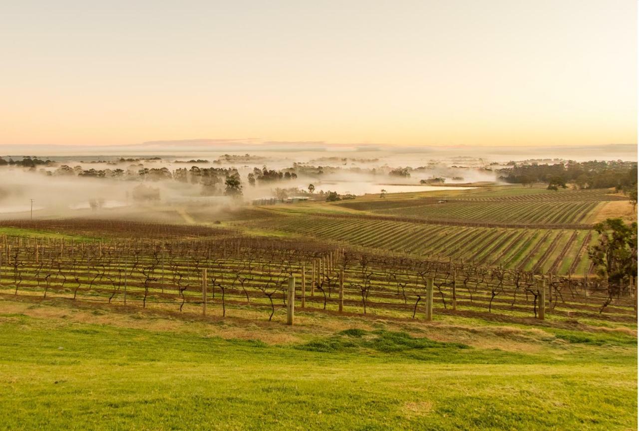 منزل الضيف بوكولبن  في Audrey Wilkinson Vineyard المظهر الخارجي الصورة